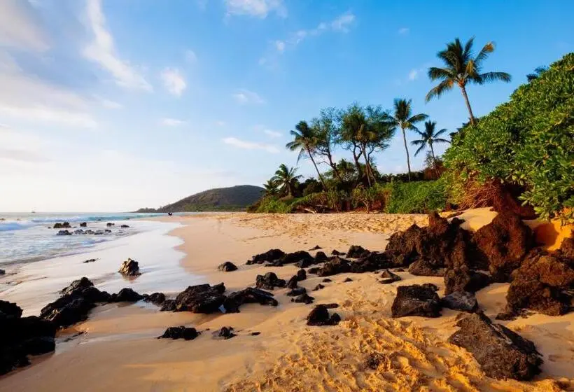２ベッドルームハウス, Maui Vista Condo 2410