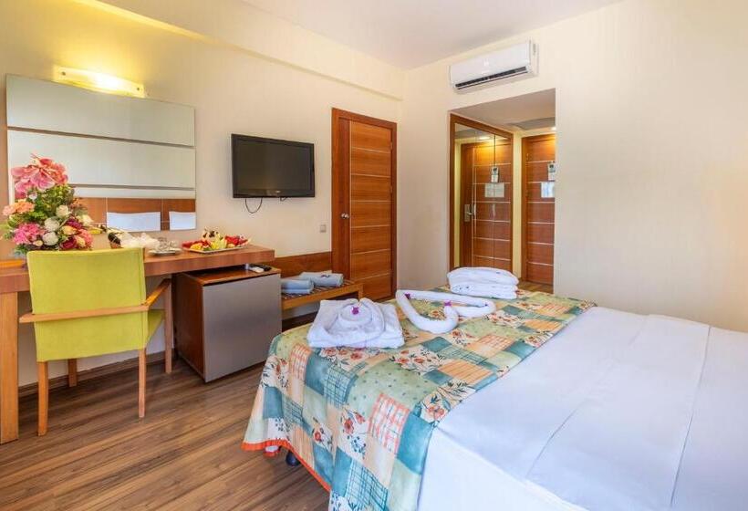 Quarto Estandar com Sacada, Viking Park