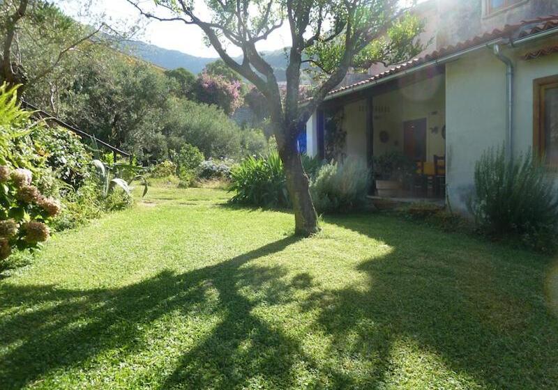 غرفة قياسية مطلّة علي الحديقة, Casa Puccini B&b Maratea