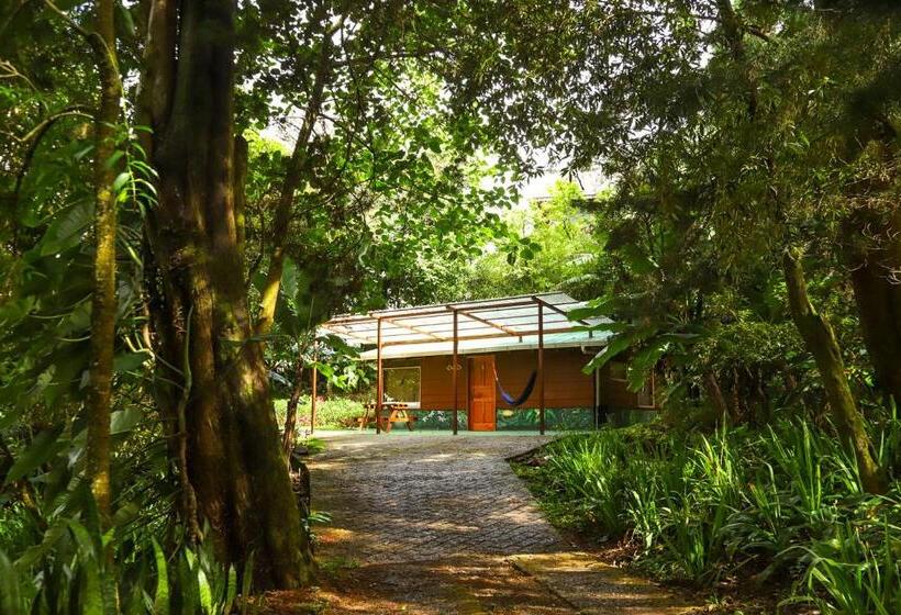 １ベッドルームハウス, Los Pinos Cabins & Reserve