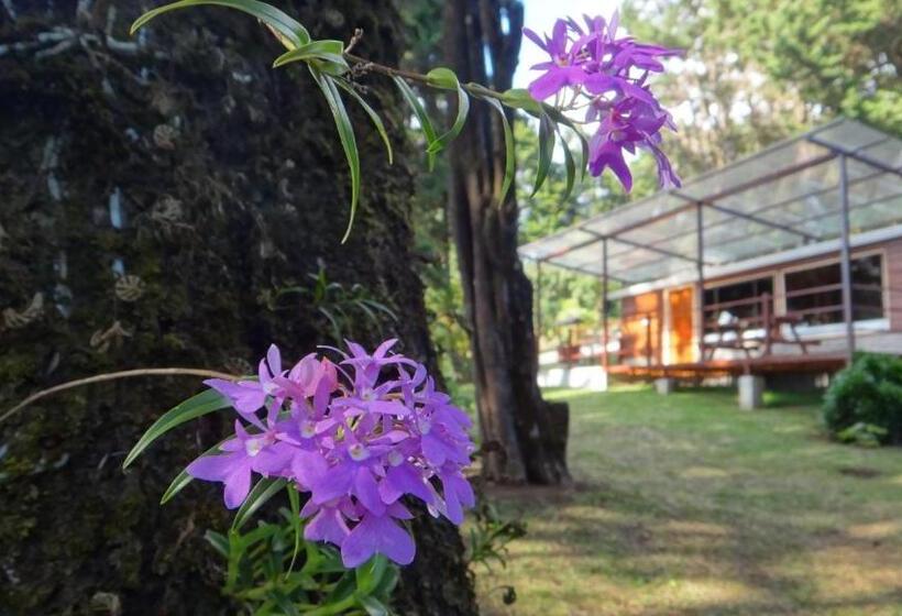 キャビン, Los Pinos Cabins & Reserve