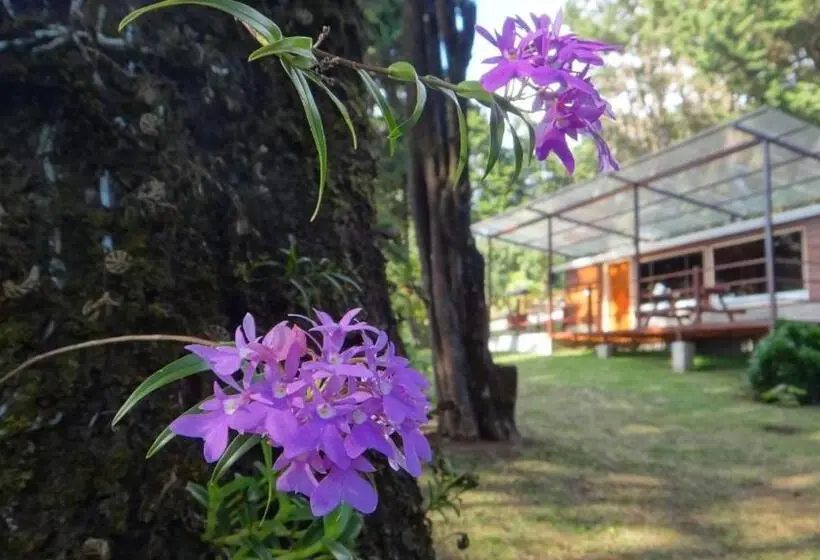 キャビン, Los Pinos Cabins & Reserve