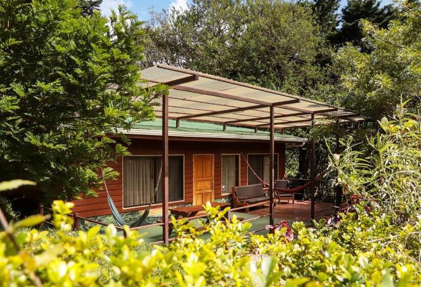 Дом 3 Спальни, Los Pinos Cabins & Reserve