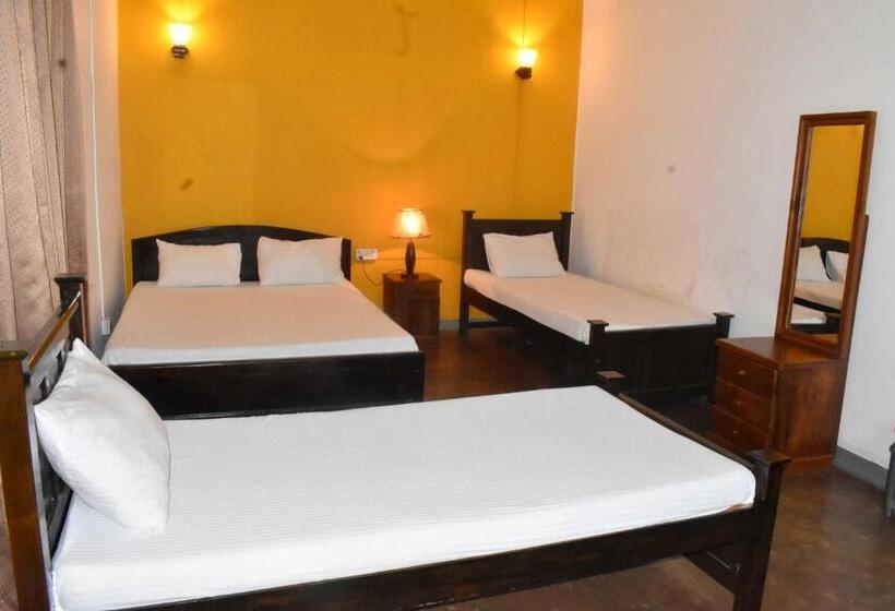 اتاق خانوادگی, Old Park Villa