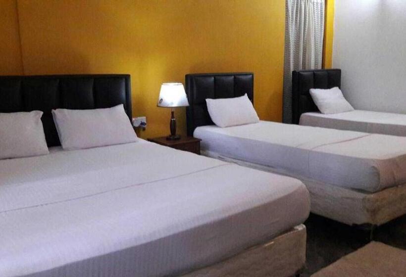 اتاق خانوادگی, Old Park Villa