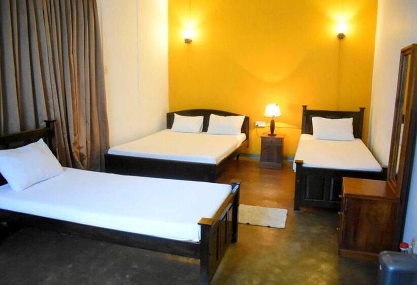 اتاق خانوادگی, Old Park Villa