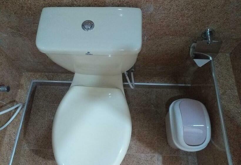 Bas Trippelrum, Sigiri Close Up View Guest