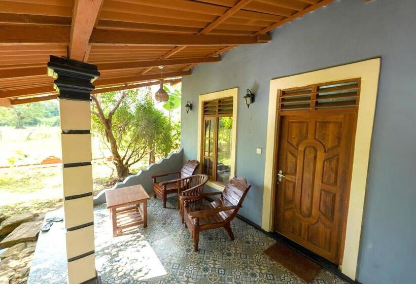 Bas Trippelrum, Sigiri Close Up View Guest