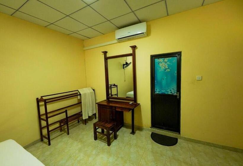 Bas Trippelrum, Sigiri Close Up View Guest