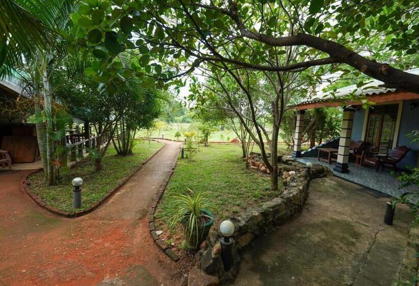 Habitació Deluxe, Sigiri Close Up View Guest