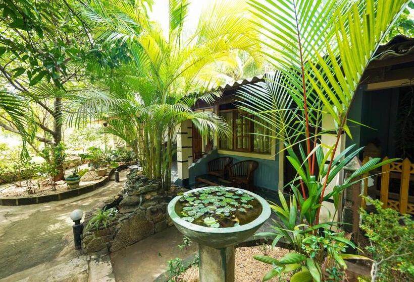 Quarto deluxe, Sigiri Close Up View Guest