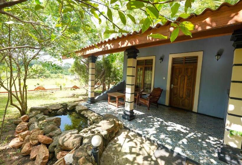 Quarto Estandard Vista Montanha, Sigiri Close Up View Guest