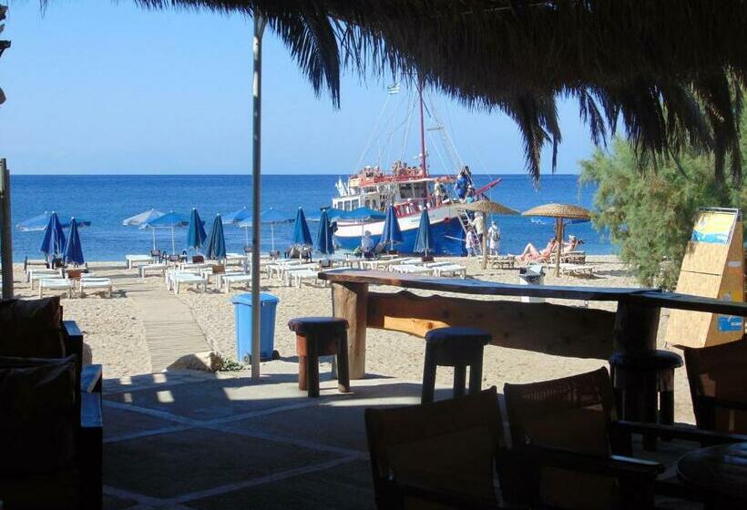 标准工作室, Apollon