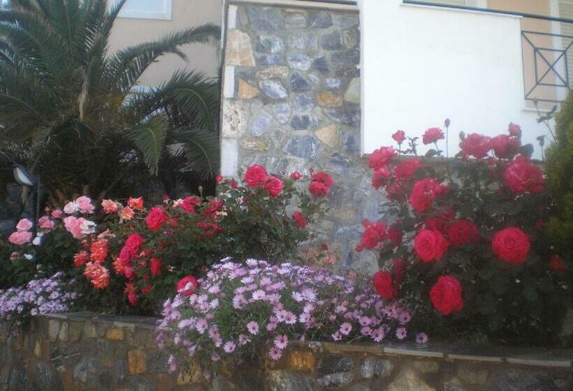 标准工作室, Apollon