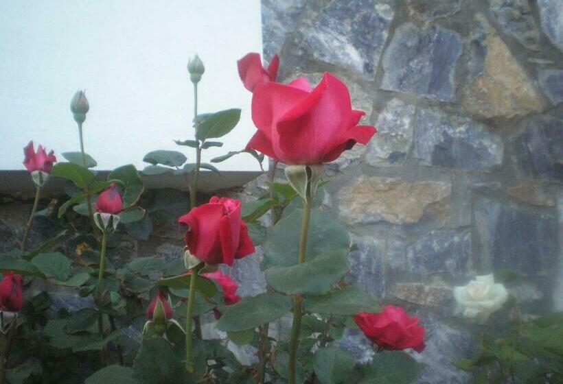 标准工作室, Apollon