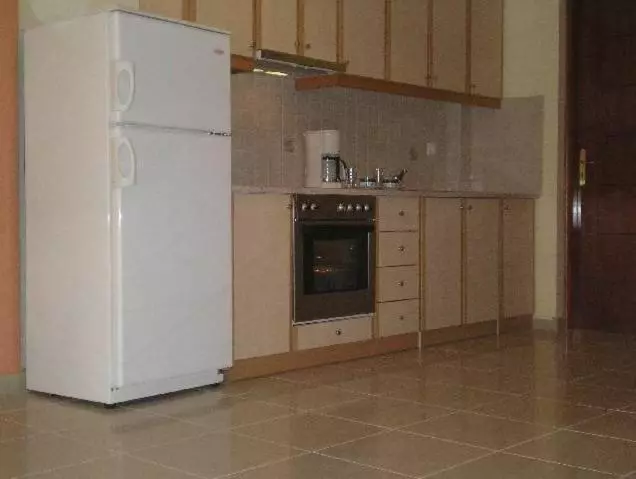 Studio Standard, Apollon