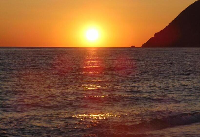 带1个卧室的公寓, Apollon