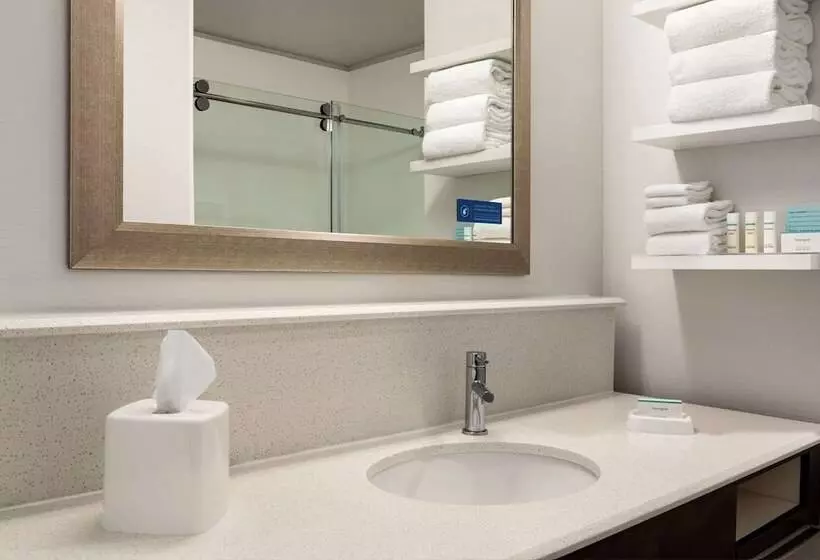 Standard-huone King-vuode, Hampton Inn & Suites Minooka