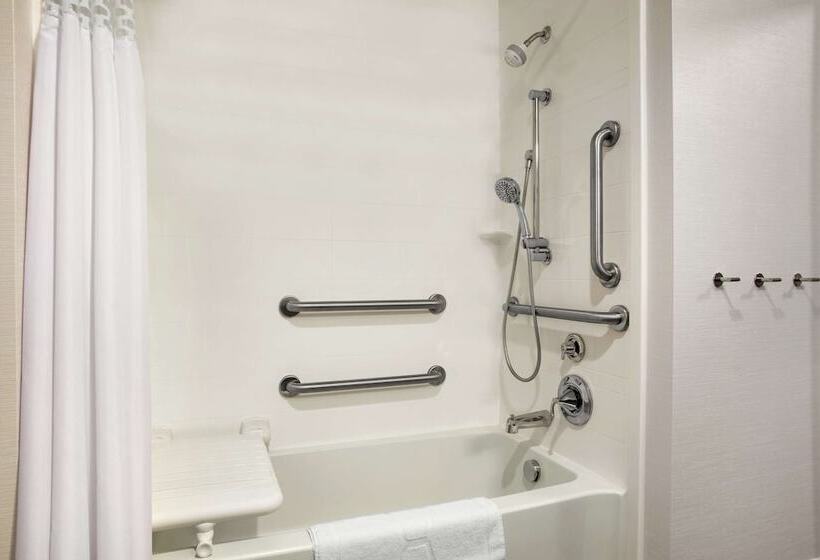 장애인을 위한 킹사이즈 침대 스탠다드 룸, Hampton Inn & Suites Minooka