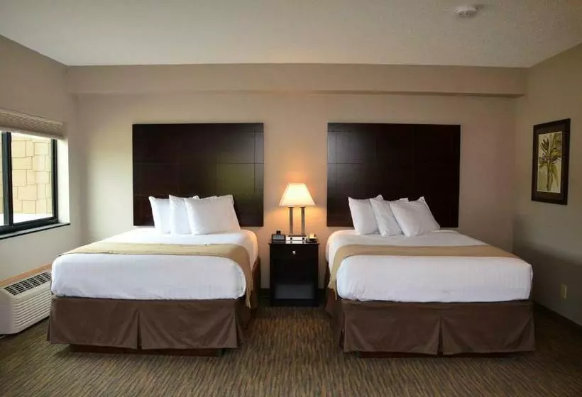 スタンダードルーム, Qube Hotel   Polk City