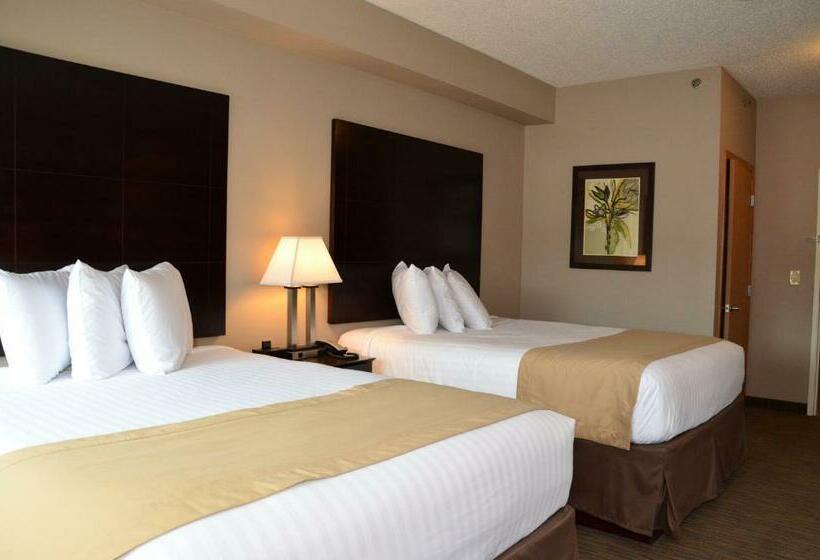 스탠다드 룸, Qube Hotel Polk City