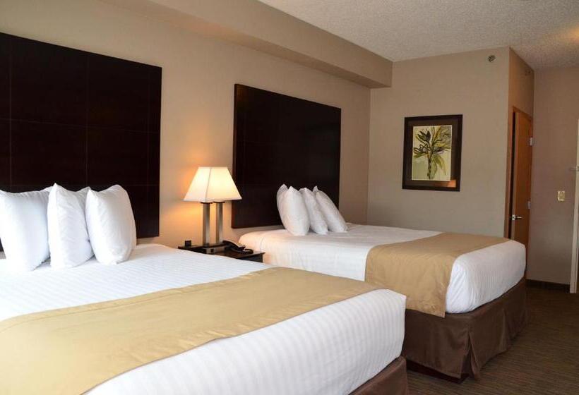 수피리어 룸, Qube Hotel Polk City