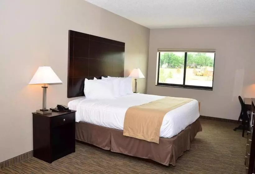 キングサイドベッドのスタンダードワンルーム, Qube Hotel   Polk City