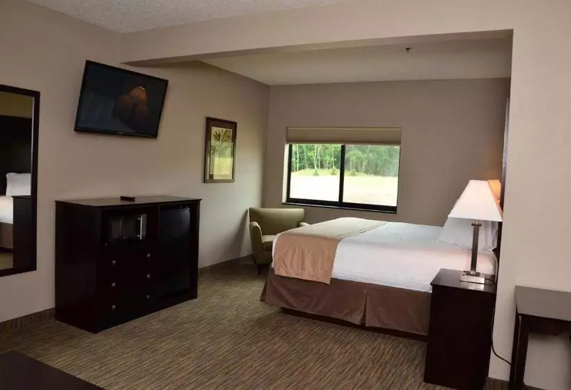 身障者適用キングサイズベッドルーム, Qube Hotel   Polk City