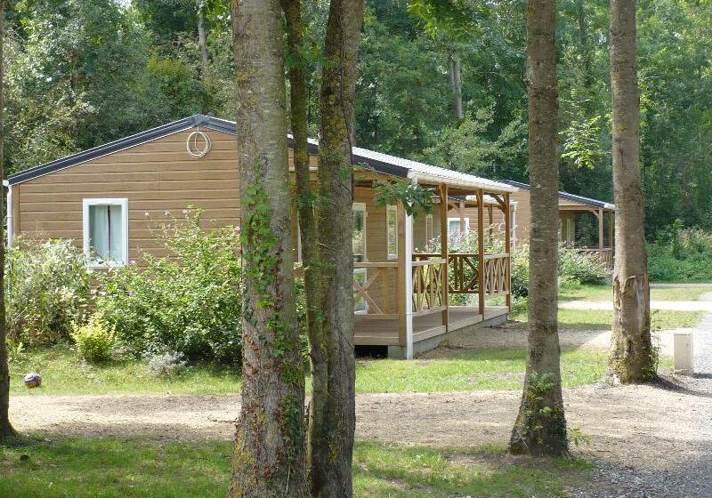 اتاق لوکس, Smile 73