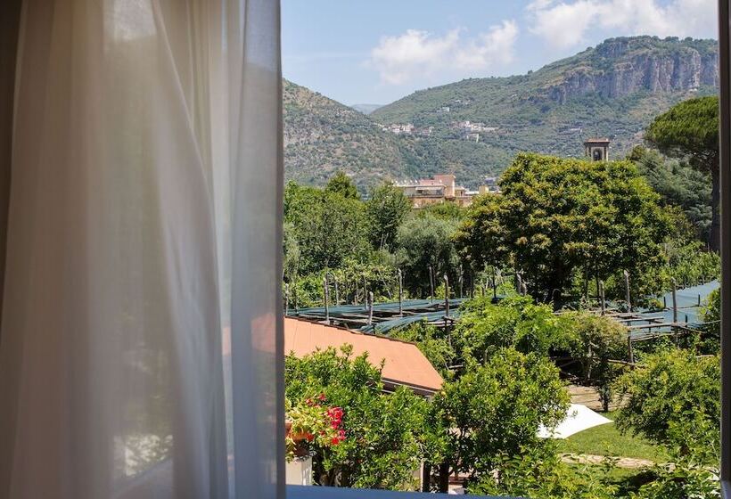 סוויטת ג'וניור, Villa Don Camillo