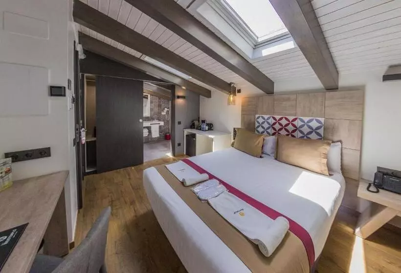 اتاق لوکس, Boutique Hostemplo Sagrada Familia