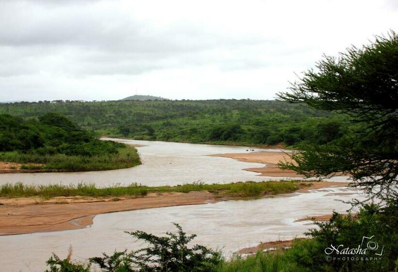 Семейный Номер, The Sandpiper