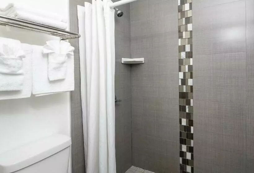 اتاق استاندارد, Scandia Motel