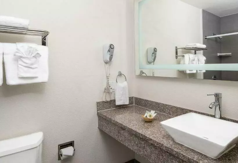 اتاق استاندارد, Scandia Motel