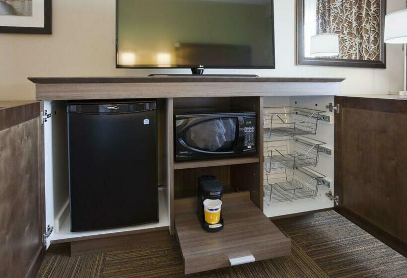 חדר סטנדרט, מיטת קינג, מותאם לאדם עם מוגבלויות, Hampton Inn Minneapolis Bloomington West