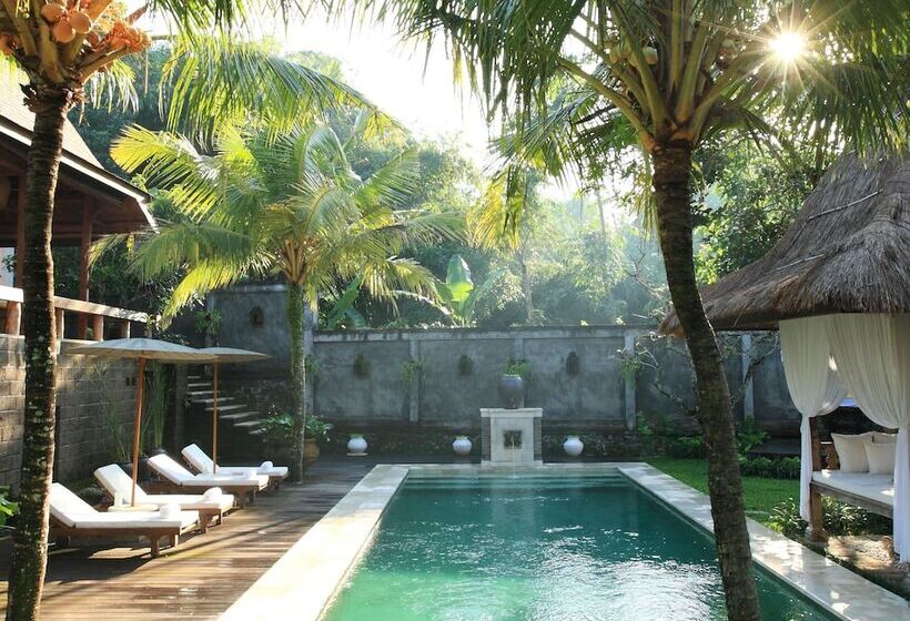 بانگلوی لوکس, Kalapa Boutique Resort & Yoga