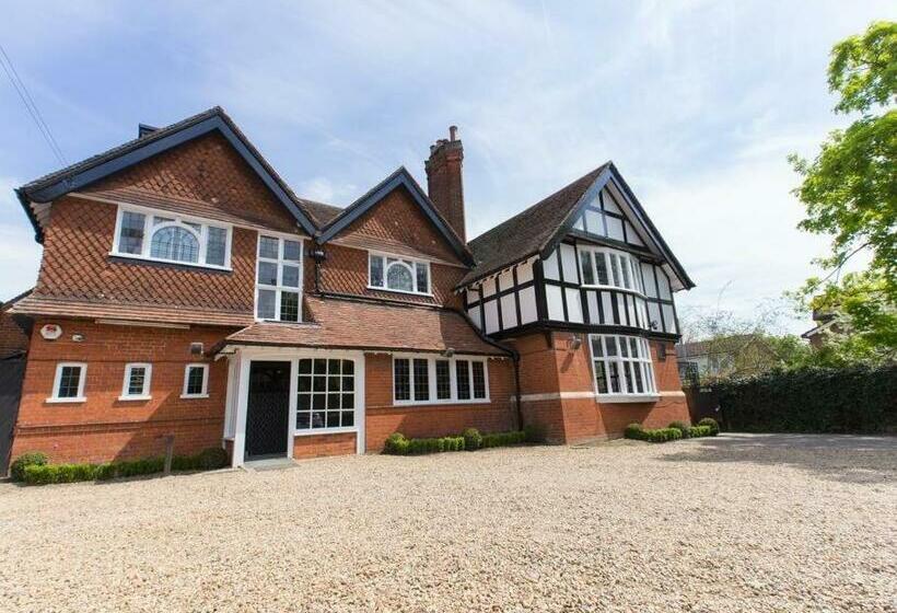 스탠다드 싱글 룸, Verve