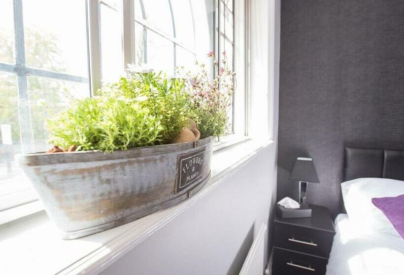 스탠다드 룸, Verve