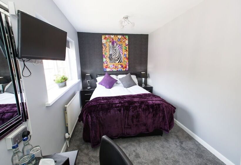 스탠다드 싱글 룸, Verve