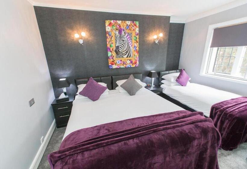 스탠다드 트리플 룸, Verve