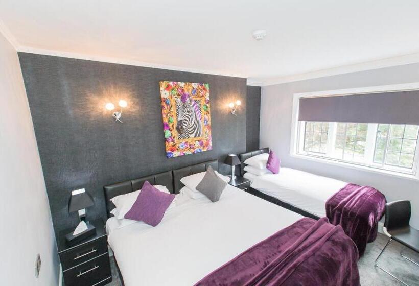 스탠다드 트리플 룸, Verve