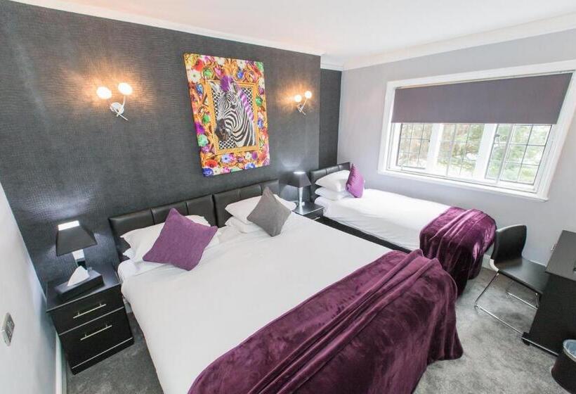 스탠다드 트리플 룸, Verve