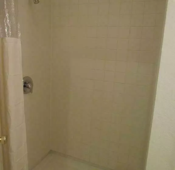 اتاق عادی, True North Motel