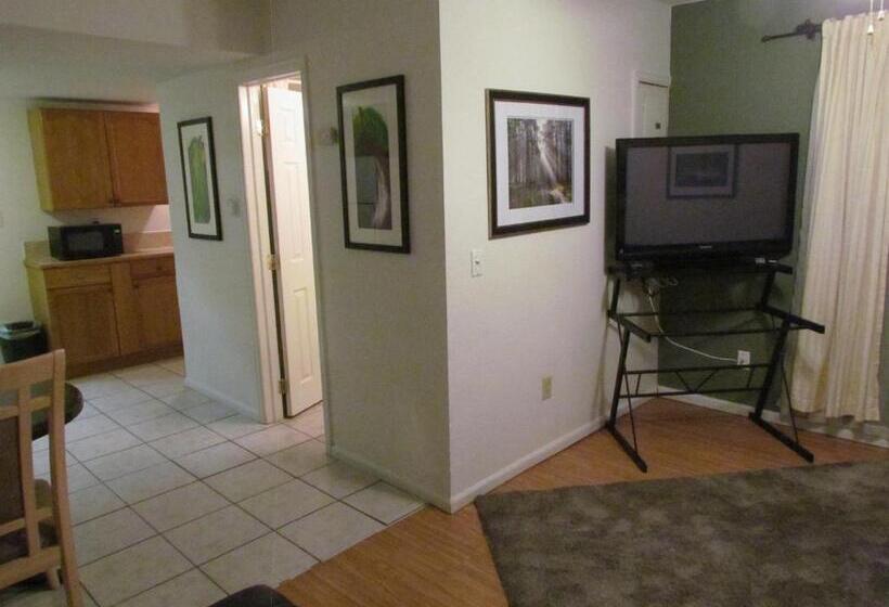 إستوديو قياسى, True North Motel