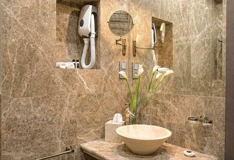 اتاق استاندارد, Villa Plaza Boutique Hotel & Spa