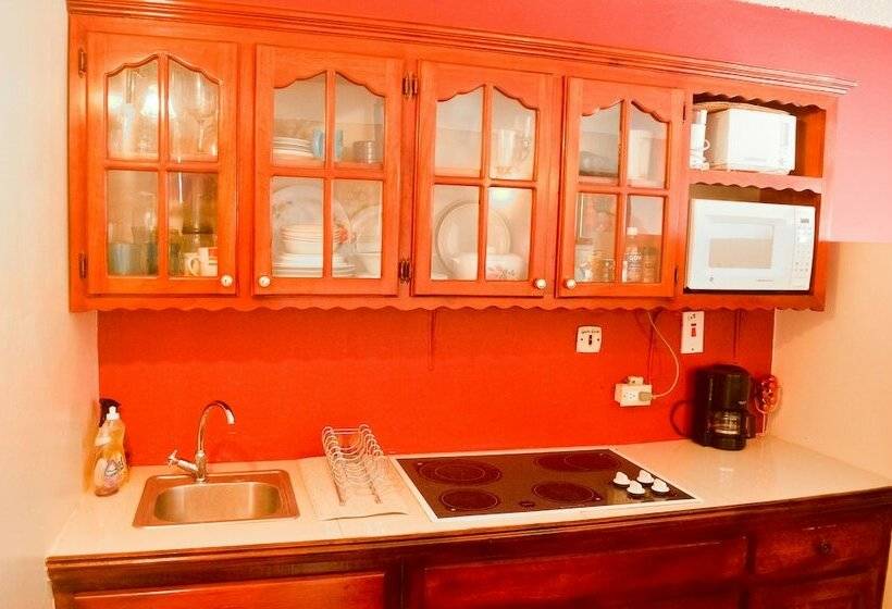 آپارتمان راحتی 1 خوابه, Garden Beach Studios At Montego Bay Club