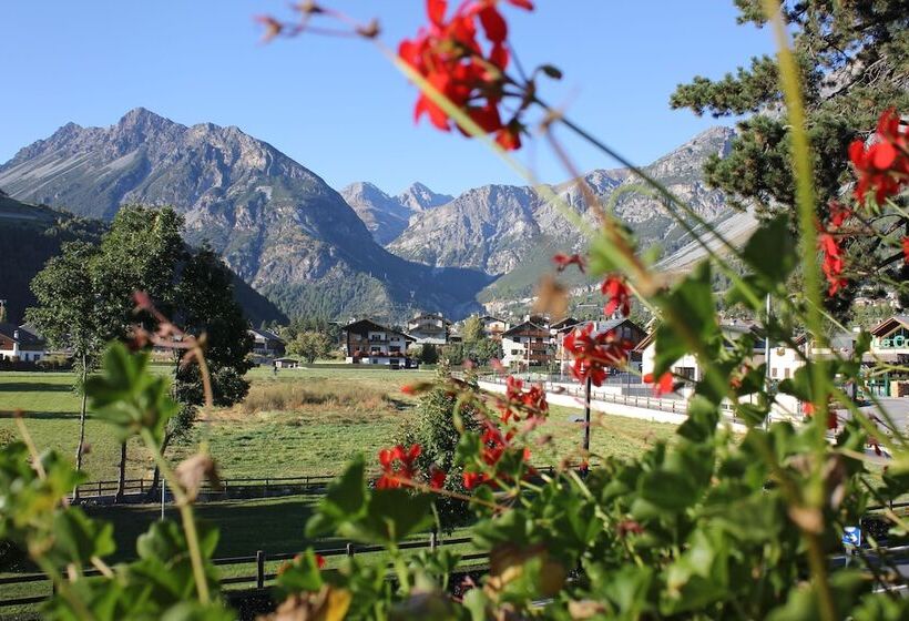 스탠다드 발코니 룸, Villa Rina