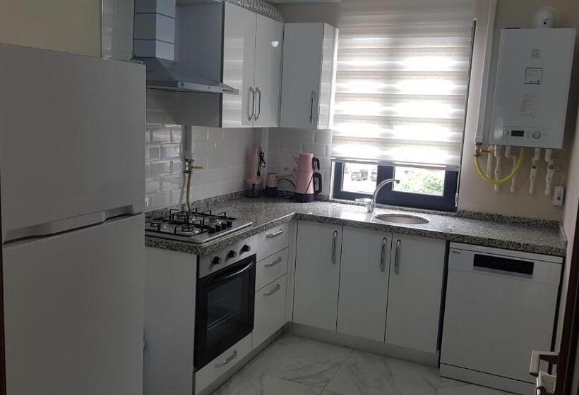 آپارتمان 1 خوابه, Guest Apart Konaklar