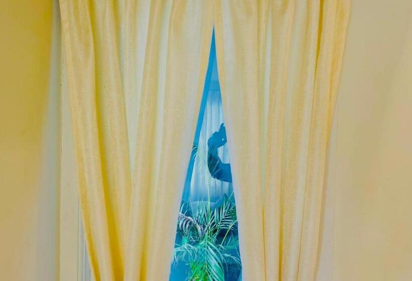 Quarto Familiar, Jack S Den Residency