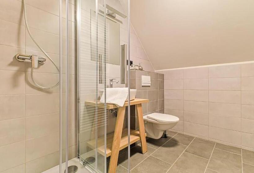 חדר סופריור לשלושה, Salaška Penzion